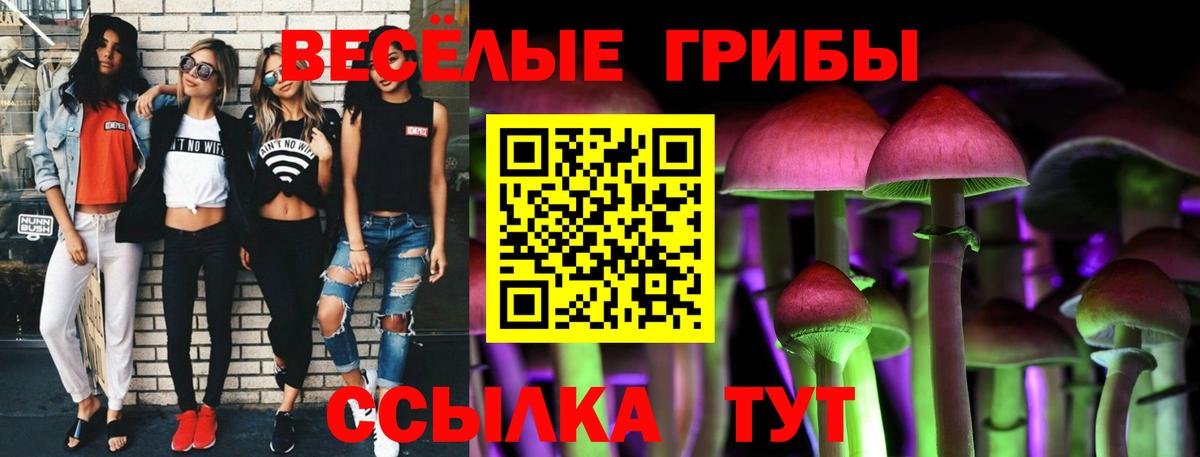 Псилоцибиновые грибы мухоморы Карпинск